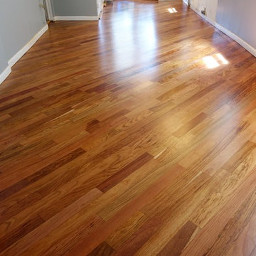 Brazilian Cherry Hardwood Floor Restoration (Jatoba)