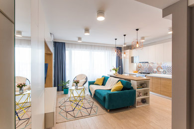 Living room - contemporary living room idea in Other