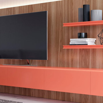Bright Wall Unit in Home (Living) Coral