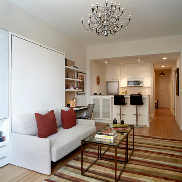 Brooklyn Heights Eclectic, Transitional Design + Furnish - Studio Apartment