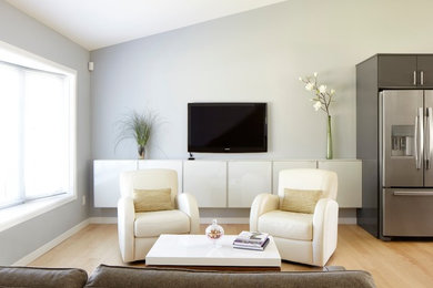 Example of a minimalist living room design in Minneapolis