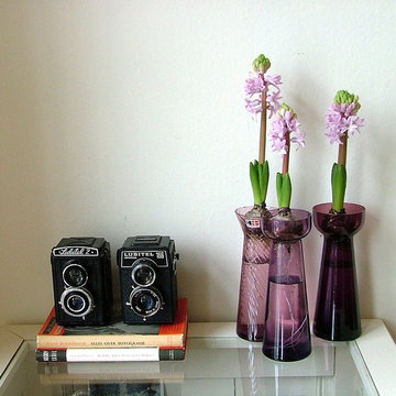 Cameras and hyacinths