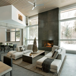 Foto de salón contemporáneo con suelo de cemento