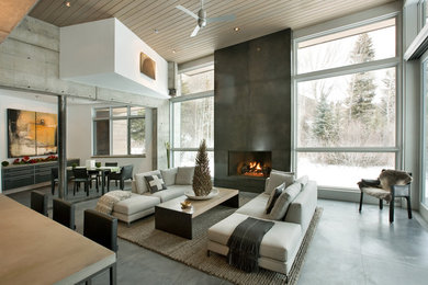 Inspiration for a contemporary concrete floor living room remodel in Denver