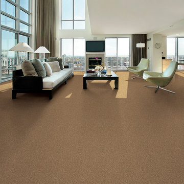 Carpet - Carpet One