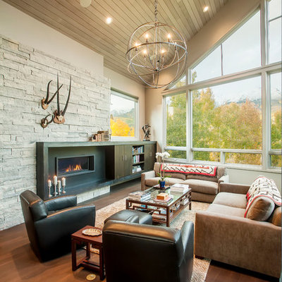 Large trendy dark wood floor and brown floor living room photo in Denver with a ribbon fireplace, gray walls, a metal fireplace and a concealed tv