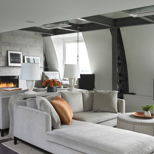 Trendy living room photo in New York with a ribbon fireplace