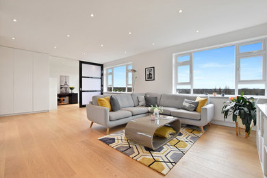 Design ideas for a modern living room in London.