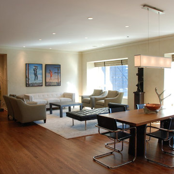 Chicago Gallery Condominium