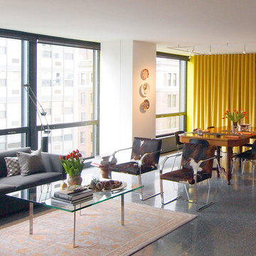 Chicago Mies Apartment