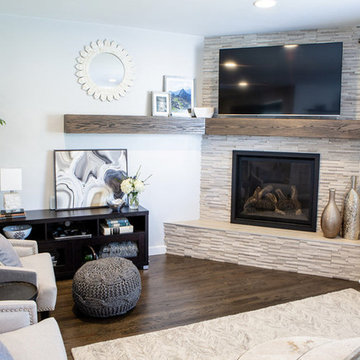 Clarkson Street Living Room + Fireplace Renovation