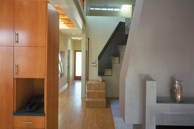 Diseño de salón abierto contemporáneo de tamaño medio con paredes verdes, suelo de madera en tonos medios, chimenea de doble cara, marco de chimenea de yeso y pared multimedia