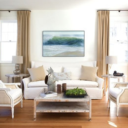https://www.houzz.com/photos/concord-green-healthy-home-living-room-transitional-living-room-boston-phvw-vp~441034