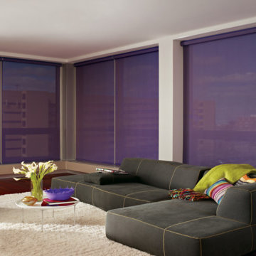 Colorful Solar Shades in a contemporary living room