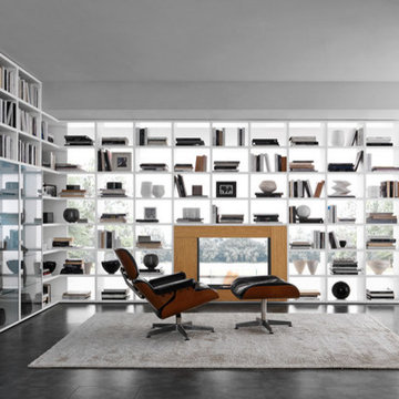 Comp. 338 Wall Unit with Fireplace by Presotto, Italy