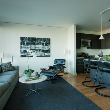 Contemporary Apartment in Aqua Condominiuns
