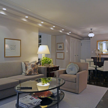 Contemporary Apartment Renovation Living Room