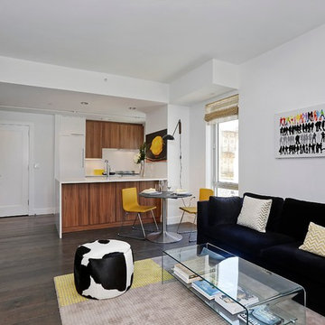 Contemporary Condo Living Room & Kitchen, Two12 North 9th, Brooklyn