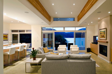 Immagine di un soggiorno design di medie dimensioni e aperto con pareti bianche, pavimento in cemento, camino classico e TV autoportante