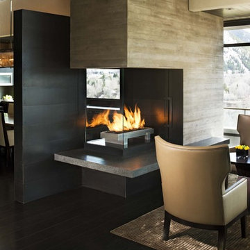 Contemporary Denver Residence