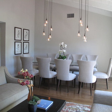 Contemporary Dining and Living Rooms
