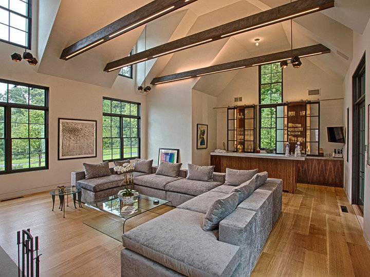 Living Room - Transitional Living Room