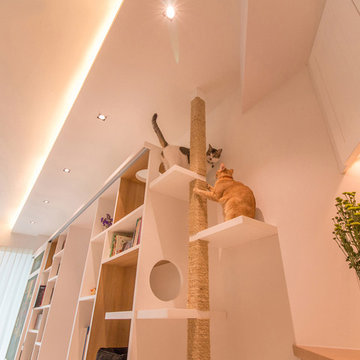 Contemporary Feline House
