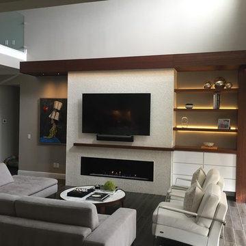 Contemporary Fireplace and Media Center