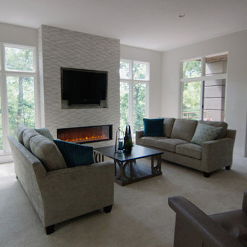 Contemporary Fireplace
