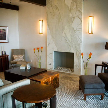 Contemporary Fireplaces