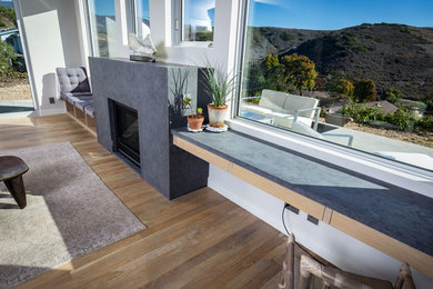 Living room - mid-sized contemporary living room idea in Santa Barbara