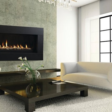 Contemporary Gas fireplace