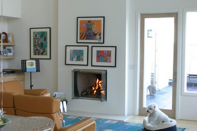 Example of a trendy light wood floor living room design in San Diego with a standard fireplace, a plaster fireplace and white walls