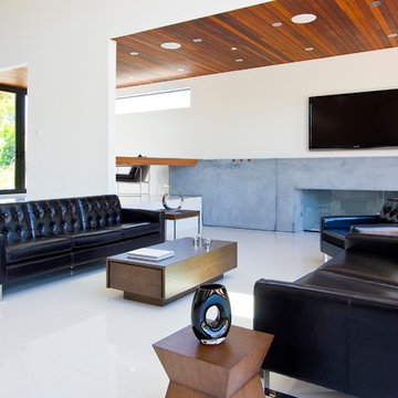 Contemporary living room 1
