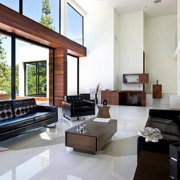 Contemporary living room 1