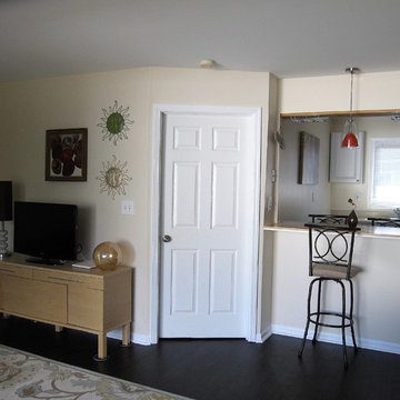 Contemporary Living Room and Bar Area