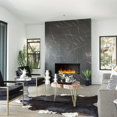 Example of a trendy formal living room design in Los Angeles with white walls, a stone fireplace, no tv and a ribbon fireplace