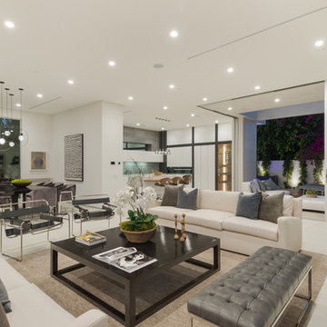 Contemporary Living Room