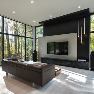 Contemporary Living Room