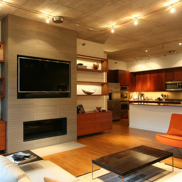 Contemporary Living Room Fireplace Built In