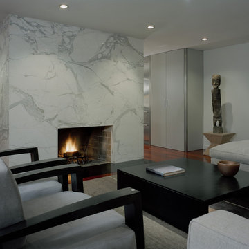 Contemporary Living Room