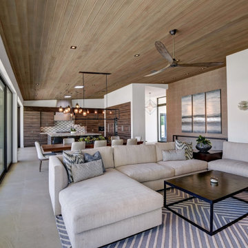 Contemporary Living Room