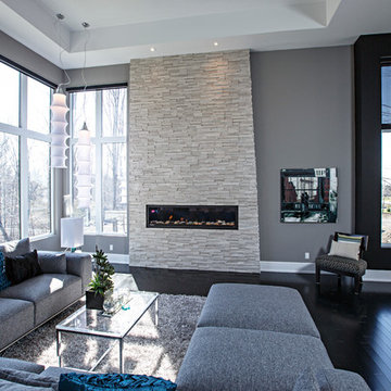 Contemporary living room in grey tones