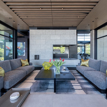 Contemporary Living Room