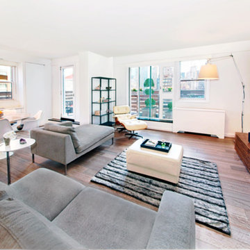 Contemporary Living Room New York City Condo