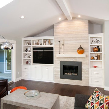 Contemporary Living Room