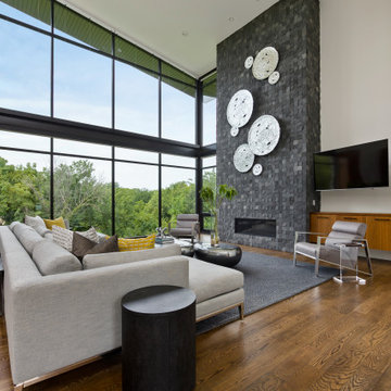 Contemporary Living Room