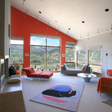 Contemporary Living Room