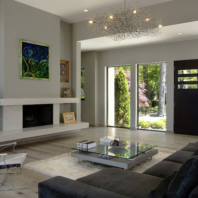 Large trendy light wood floor living room photo in Grand Rapids with gray walls, a standard fireplace and a concrete fireplace