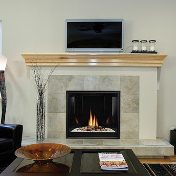 Contemporary Living with Square Fireplace - White Mountain Hearth